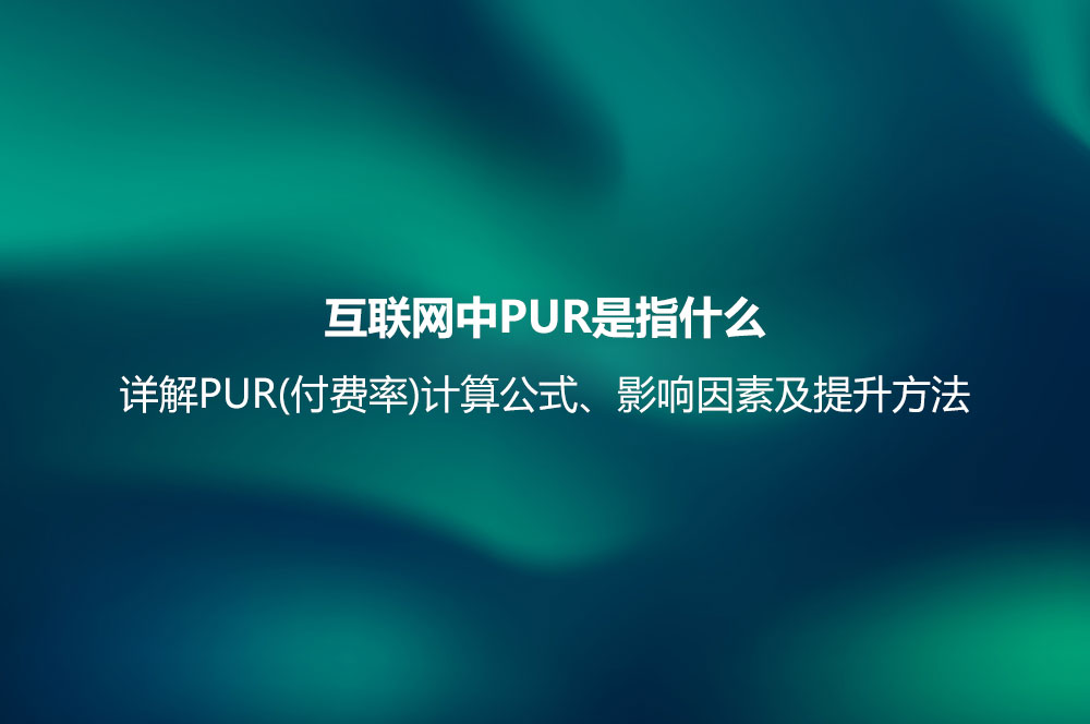 互聯(lián)網(wǎng)中PUR是指什么