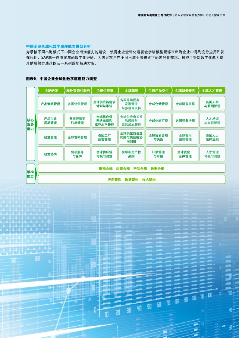 新型中國企業(yè)高質(zhì)量出海白皮書(圖27)
