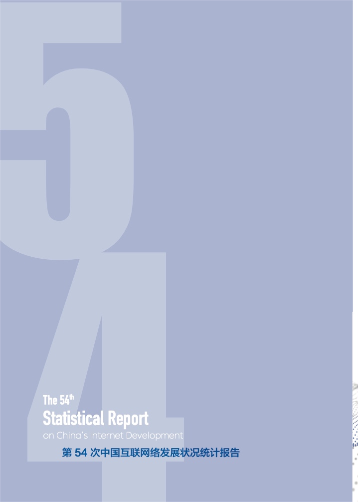第54次中國互聯網絡發(fā)展狀況統(tǒng)計報告(圖4)